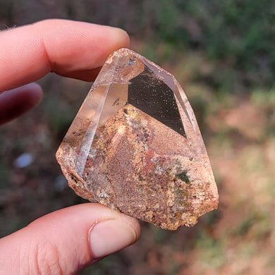 Lodolite Quartz - The Crystal Connoisseurs