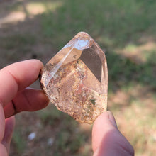 Load image into Gallery viewer, Lodolite Quartz - The Crystal Connoisseurs
