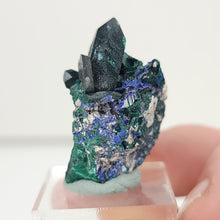Load image into Gallery viewer, Malachite Pseudomorph after Azurite. Milpillas, Mexico. - The Crystal Connoisseurs
