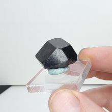 Load image into Gallery viewer, Garnet var. Melanite from Mali. 9g - The Crystal Connoisseurs
