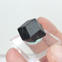 Load image into Gallery viewer, Garnet var. Melanite from Mali. 12g - The Crystal Connoisseurs
