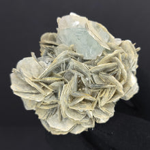 Load image into Gallery viewer, Mica with Blue Fluorite.191g. - The Crystal Connoisseurs
