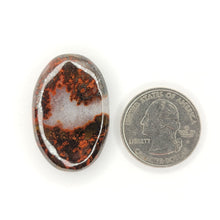 Load image into Gallery viewer, Seam Agate Cabochon - The Crystal Connoisseurs
