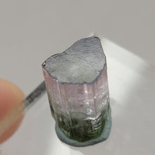 Load image into Gallery viewer, Tri-color Paprok Tourmaline. 15.5ct - The Crystal Connoisseurs
