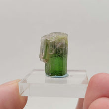 Load image into Gallery viewer, Bi-color Paprok Tourmaline. 28ct - The Crystal Connoisseurs
