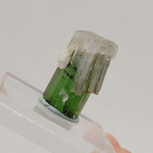 Load image into Gallery viewer, Bi-color Paprok Tourmaline. 28ct - The Crystal Connoisseurs
