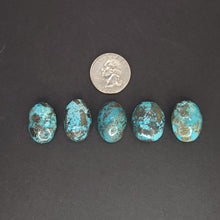 Load image into Gallery viewer, Persian Turquoise Cabochons. Lot #1 - The Crystal Connoisseurs

