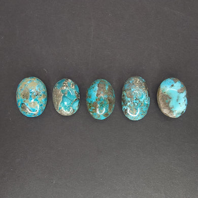 Persian Turquoise Cabochons. Lot #2 - The Crystal Connoisseurs