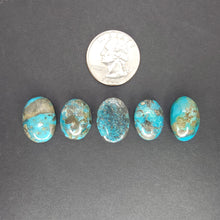 Load image into Gallery viewer, Persian Turquoise Cabochons. Lot #3 - The Crystal Connoisseurs
