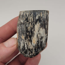 Load image into Gallery viewer, Blue Forest Petrified Wood - The Crystal Connoisseurs
