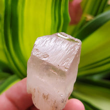 Load image into Gallery viewer, Pink Kunzite. 51.8 grams - The Crystal Connoisseurs
