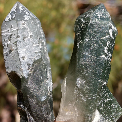 Green Prasem Hedenbergite/Actinolite Quartz - The Crystal Connoisseurs