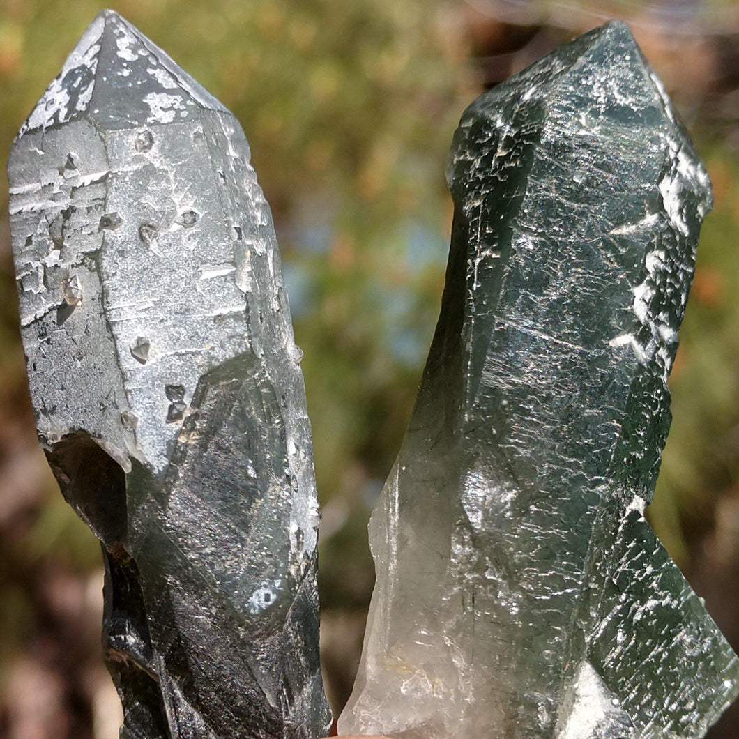 Green Prasem Hedenbergite/Actinolite Quartz - The Crystal Connoisseurs