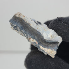 Load image into Gallery viewer, Psilomelane with Drusy Calcite - The Crystal Connoisseurs
