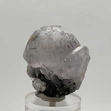Load image into Gallery viewer, Purple Apatite with Black Tourmaline - The Crystal Connoisseurs

