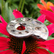 Load image into Gallery viewer, Pyritized Ammonite - The Crystal Connoisseurs
