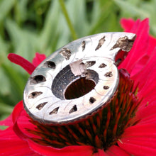 Load image into Gallery viewer, Pyritized Ammonite - The Crystal Connoisseurs

