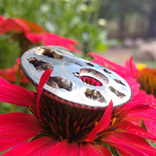 Load image into Gallery viewer, Pyritized Ammonite - The Crystal Connoisseurs

