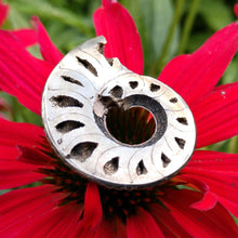 Load image into Gallery viewer, Pyritized Ammonite - The Crystal Connoisseurs
