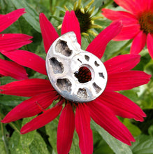 Load image into Gallery viewer, Pyritized Ammonite - The Crystal Connoisseurs
