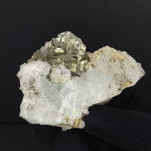 Load image into Gallery viewer, Pyrite Pseudomorph after Barite on Quartz. 228g - The Crystal Connoisseurs
