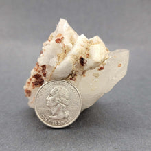 Load image into Gallery viewer, Garnet on Quartz with Albite and Mica - The Crystal Connoisseurs
