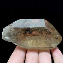 Load image into Gallery viewer, Smoky Quartz with Gold Rutile - The Crystal Connoisseurs
