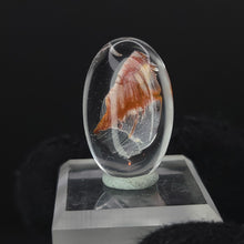 Load image into Gallery viewer, Brookite in Quartz. Cabochon, Oval. 24ct. - The Crystal Connoisseurs
