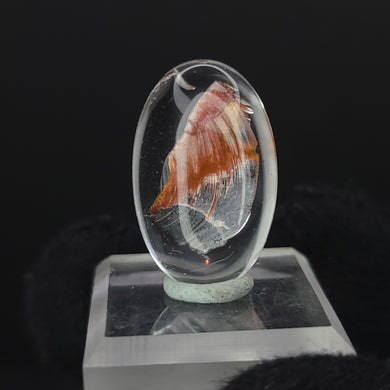 Brookite in Quartz. Cabochon, Oval. 24ct. - The Crystal Connoisseurs
