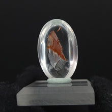 Load image into Gallery viewer, Brookite in Quartz. Cabochon, Oval. 24ct. - The Crystal Connoisseurs
