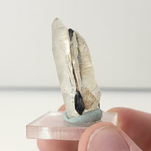 Load image into Gallery viewer, Quartz with Black Tourmaline. 16.1g - The Crystal Connoisseurs
