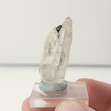 Load image into Gallery viewer, Quartz with Black Tourmaline. 16.1g - The Crystal Connoisseurs
