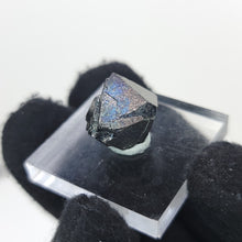Load image into Gallery viewer, Rainbow Magnetite. 5g
