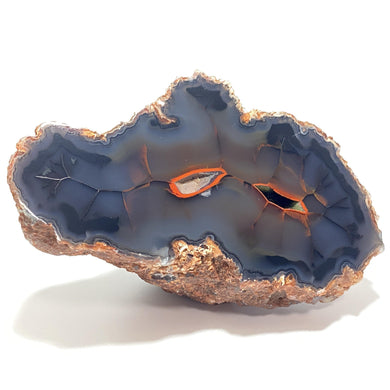Red Fox Agate - The Crystal Connoisseurs