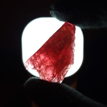 Load image into Gallery viewer, Rhodonite. 10g - The Crystal Connoisseurs
