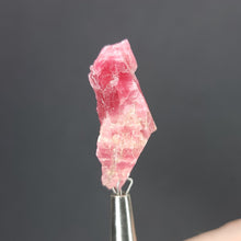 Load image into Gallery viewer, Rhodonite. 7g - The Crystal Connoisseurs
