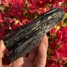 Load image into Gallery viewer, Schorl &quot;Black&quot; Tourmaline 11.3oz - The Crystal Connoisseurs
