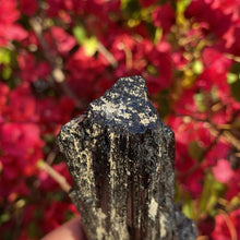 Load image into Gallery viewer, Schorl &quot;Black&quot; Tourmaline 11.3oz - The Crystal Connoisseurs
