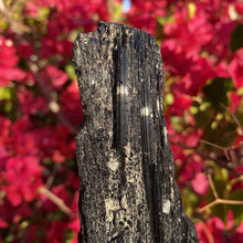Load image into Gallery viewer, Schorl &quot;Black&quot; Tourmaline 11.3oz - The Crystal Connoisseurs
