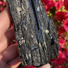 Load image into Gallery viewer, Schorl &quot;Black&quot; Tourmaline 11.3oz - The Crystal Connoisseurs
