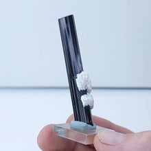 Load image into Gallery viewer, Black Tourmaline with Albite. Double Terminated. 15.9g - The Crystal Connoisseurs
