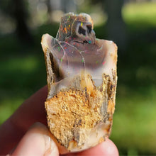 Load image into Gallery viewer, Precious Black Opal Specimen from The Virgin Valley - The Crystal Connoisseurs
