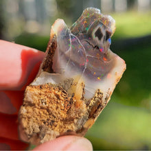 Load image into Gallery viewer, Precious Black Opal Specimen from The Virgin Valley - The Crystal Connoisseurs
