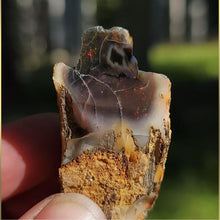 Load image into Gallery viewer, Precious Black Opal Specimen from The Virgin Valley - The Crystal Connoisseurs
