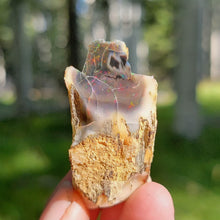 Load image into Gallery viewer, Precious Black Opal Specimen from The Virgin Valley - The Crystal Connoisseurs
