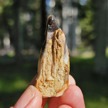 Load image into Gallery viewer, Precious Black Opal Specimen from The Virgin Valley - The Crystal Connoisseurs
