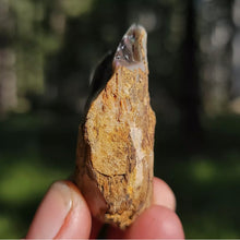 Load image into Gallery viewer, Precious Black Opal Specimen from The Virgin Valley - The Crystal Connoisseurs

