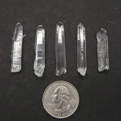 x5 Singing Quartz. 10g - The Crystal Connoisseurs