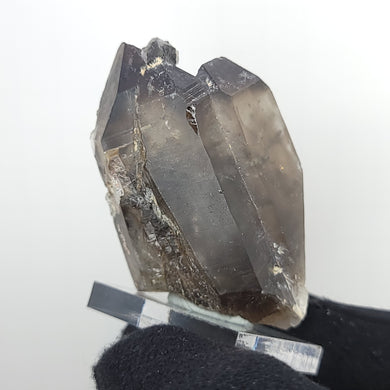 Smoky Quartz with Aegirine. 84 grams. - The Crystal Connoisseurs