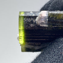 Load image into Gallery viewer, Stak Nala Tourmaline. 11.3g - The Crystal Connoisseurs
